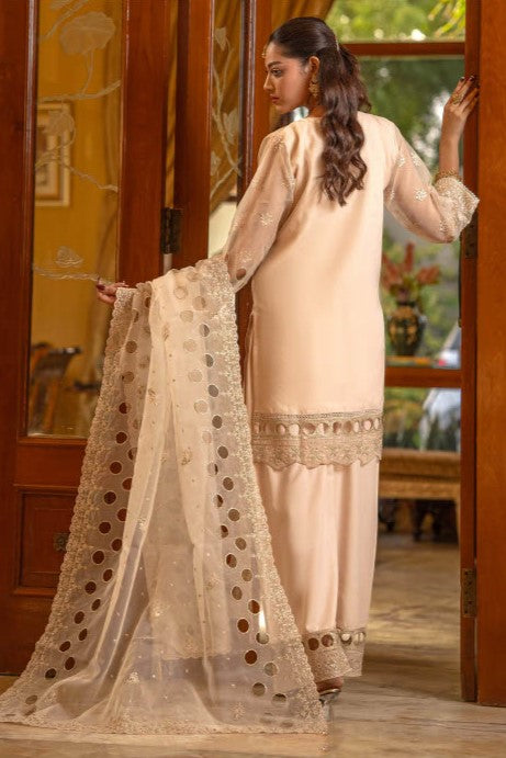 Elegant Champagne Embroidered 3-Piece Suit – GULNAARA