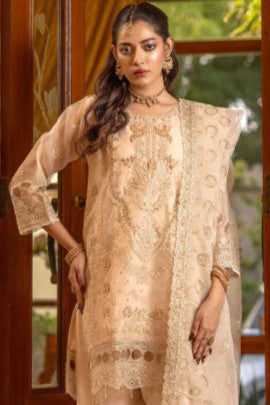 Elegant Champagne Embroidered 3-Piece Suit – GULNAARA