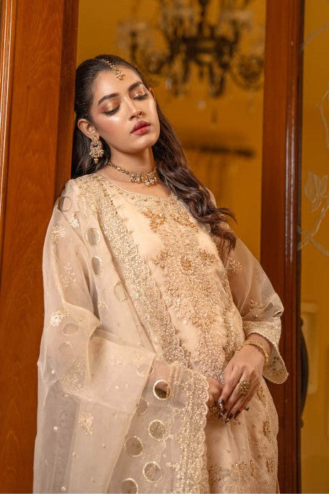Elegant Champagne Embroidered 3-Piece Suit – GULNAARA