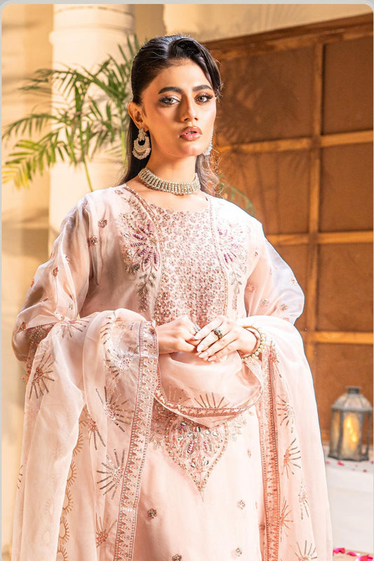 Pink Embroidered Formal Dress – Luxury Pakistani Party Wear |  OPAL PINK
